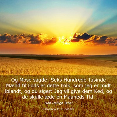 Picture 03 - 4 Mosebog 11:21 DA1871 - Og Mose sagde: Seks Hundrede Tusinde Mænd til - Bible Verse Picture