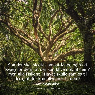 Picture 03 - 4 Mosebog 11:22 DA1871 - Mon der skal slagtes smaat Kvæg og stort Kvæg - Bible Verse Picture