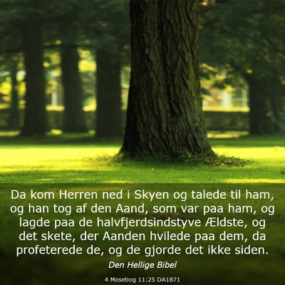 Picture 03 - 4 Mosebog 11:25 DA1871 - Da kom Herren ned i Skyen og talede til ham, og - Bible Verse Picture