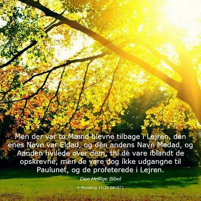 Picture 03 - 4 Mosebog 11:26 DA1871 - Men der var to Mænd blevne tilbage i Lejren, den - Bible Verse Picture