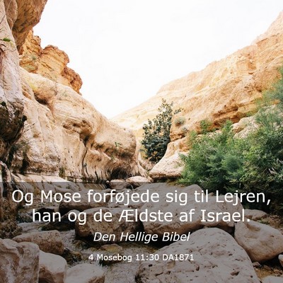 Picture 03 - 4 Mosebog 11:30 DA1871 - Og Mose forføjede sig til Lejren, han og de - Bible Verse Picture