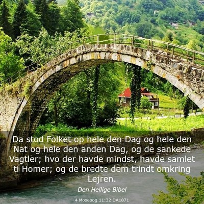 Picture 03 - 4 Mosebog 11:32 DA1871 - Da stod Folket op hele den Dag og hele den Nat og - Bible Verse Picture