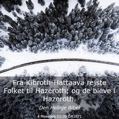 Picture 03 - 4 Mosebog 11:35 DA1871 - Fra Kibroth-Hattaava rejste Folket til Hazeroth; - Bible Verse Picture