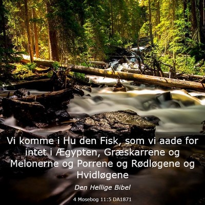 Picture 03 - 4 Mosebog 11:5 DA1871 - Vi komme i Hu den Fisk, som vi aade for intet i - Bible Verse Picture