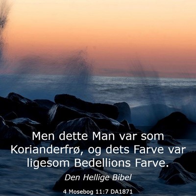 Picture 03 - 4 Mosebog 11:7 DA1871 - Men dette Man var som Korianderfrø, og dets - Bible Verse Picture