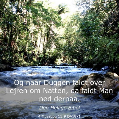 Picture 03 - 4 Mosebog 11:9 DA1871 - Og naar Duggen faldt over Lejren om Natten, da - Bible Verse Picture