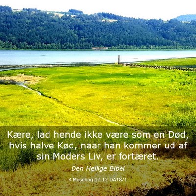Picture 03 - 4 Mosebog 12:12 DA1871 - Kære, lad hende ikke være som en Død, hvis - Bible Verse Picture