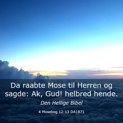 Picture 03 - 4 Mosebog 12:13 DA1871 - Da raabte Mose til Herren og sagde: Ak, Gud! - Bible Verse Picture