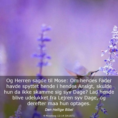 Picture 03 - 4 Mosebog 12:14 DA1871 - Og Herren sagde til Mose: Om hendes Fader havde - Bible Verse Picture