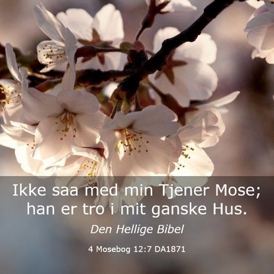 Picture 03 - 4 Mosebog 12:7 DA1871 - Ikke saa med min Tjener Mose; han er tro i mit - Bible Verse Picture