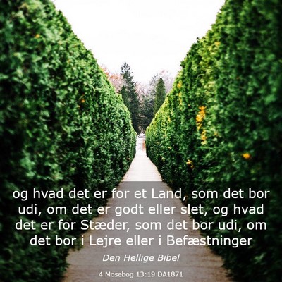 Picture 03 - 4 Mosebog 13:19 DA1871 - og hvad det er for et Land, som det bor udi, om - Bible Verse Picture