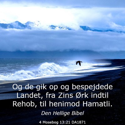 Picture 03 - 4 Mosebog 13:21 DA1871 - Og de gik op og bespejdede Landet, fra Zins Ørk - Bible Verse Picture