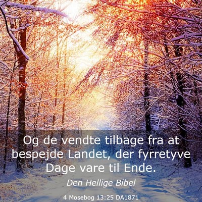 Picture 03 - 4 Mosebog 13:25 DA1871 - Og de vendte tilbage fra at bespejde Landet, der - Bible Verse Picture