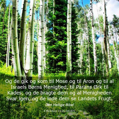 Picture 03 - 4 Mosebog 13:26 DA1871 - Og de gik og kom til Mose og til Aron og til al - Bible Verse Picture