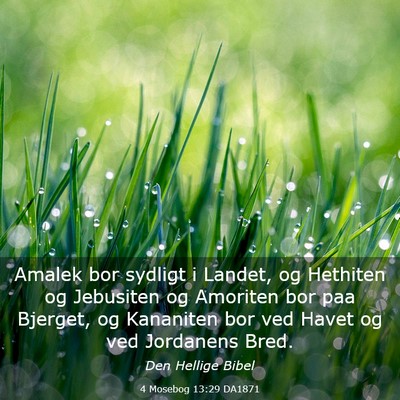 Picture 03 - 4 Mosebog 13:29 DA1871 - Amalek bor sydligt i Landet, og Hethiten og - Bible Verse Picture
