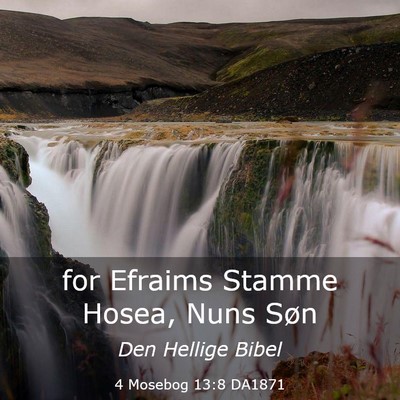 Picture 03 - 4 Mosebog 13:8 DA1871 - for Efraims Stamme Hosea, Nuns - Bible Verse Picture