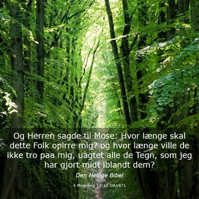 Picture 03 - 4 Mosebog 14:11 DA1871 - Og Herren sagde til Mose: Hvor længe skal dette - Bible Verse Picture