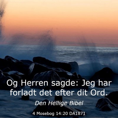 Picture 03 - 4 Mosebog 14:20 DA1871 - Og Herren sagde: Jeg har forladt det efter dit - Bible Verse Picture