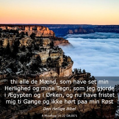 Picture 03 - 4 Mosebog 14:22 DA1871 - thi alle de Mænd, som have set min Herlighed og - Bible Verse Picture