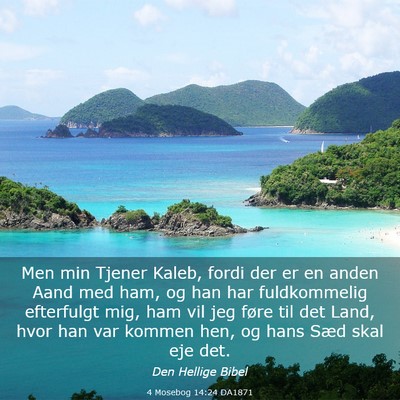 Picture 03 - 4 Mosebog 14:24 DA1871 - Men min Tjener Kaleb, fordi der er en anden Aand - Bible Verse Picture