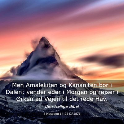 Picture 03 - 4 Mosebog 14:25 DA1871 - Men Amalekiten og Kananiten bor i Dalen; vender - Bible Verse Picture