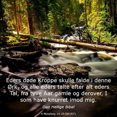 Picture 03 - 4 Mosebog 14:29 DA1871 - Eders døde Kroppe skulle falde i denne Ørk, og - Bible Verse Picture