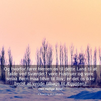 Picture 03 - 4 Mosebog 14:3 DA1871 - Og hvorfor fører Herren os til dette Land til at - Bible Verse Picture