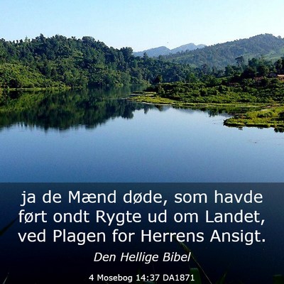 Picture 03 - 4 Mosebog 14:37 DA1871 - ja de Mænd døde, som havde ført ondt Rygte ud - Bible Verse Picture