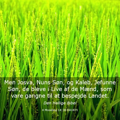 Picture 03 - 4 Mosebog 14:38 DA1871 - Men Josva, Nuns Søn, og Kaleb, Jefunne Søn, de - Bible Verse Picture