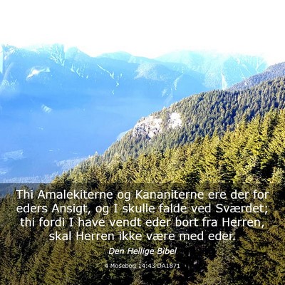 Picture 03 - 4 Mosebog 14:43 DA1871 - Thi Amalekiterne og Kananiterne ere der for eders - Bible Verse Picture
