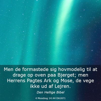 Picture 03 - 4 Mosebog 14:44 DA1871 - Men de formastede sig hovmodelig til at drage op - Bible Verse Picture