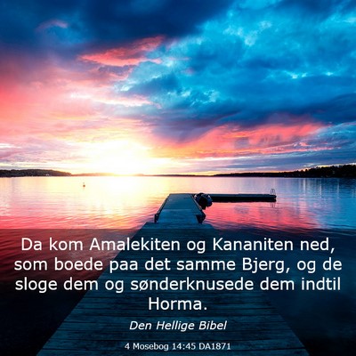 Picture 03 - 4 Mosebog 14:45 DA1871 - Da kom Amalekiten og Kananiten ned, som boede paa - Bible Verse Picture