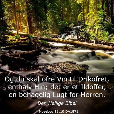 Picture 03 - 4 Mosebog 15:10 DA1871 - Og du skal ofre Vin til Drikofret, en halv Hin; - Bible Verse Picture