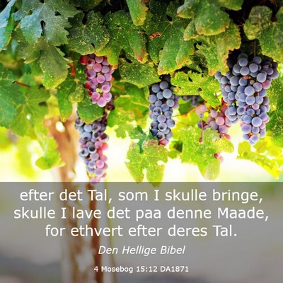 Picture 03 - 4 Mosebog 15:12 DA1871 - efter det Tal, som I skulle bringe, skulle I lave - Bible Verse Picture