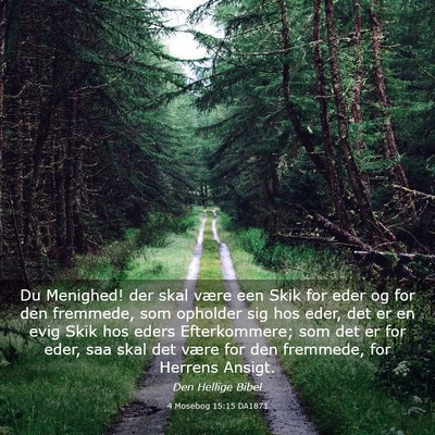 Picture 03 - 4 Mosebog 15:15 DA1871 - Du Menighed! der skal være een Skik for eder og - Bible Verse Picture