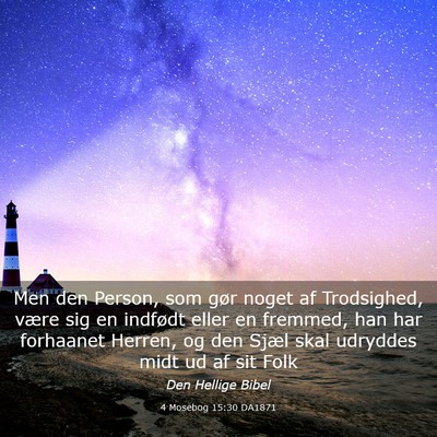 Picture 03 - 4 Mosebog 15:30 DA1871 - Men den Person, som gør noget af Trodsighed, - Bible Verse Picture