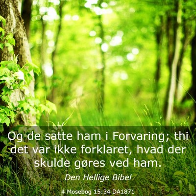 Picture 03 - 4 Mosebog 15:34 DA1871 - Og de satte ham i Forvaring; thi det var ikke - Bible Verse Picture