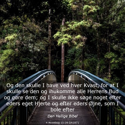 Picture 03 - 4 Mosebog 15:39 DA1871 - Og den skulle I have ved hver Kvast, for at I - Bible Verse Picture