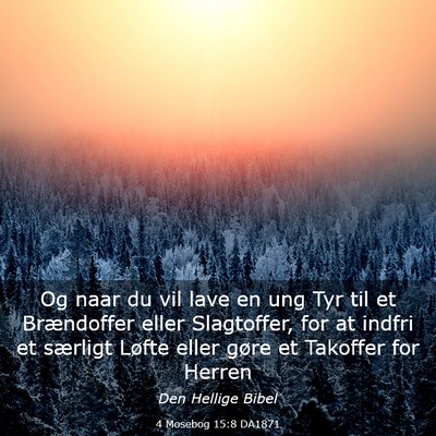 Picture 03 - 4 Mosebog 15:8 DA1871 - Og naar du vil lave en ung Tyr til et Brændoffer - Bible Verse Picture