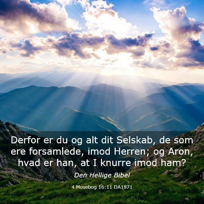 Picture 03 - 4 Mosebog 16:11 DA1871 - Derfor er du og alt dit Selskab, de som ere - Bible Verse Picture