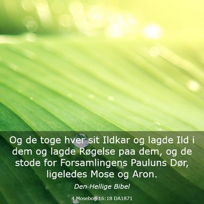 Picture 03 - 4 Mosebog 16:18 DA1871 - Og de toge hver sit Ildkar og lagde Ild i dem og - Bible Verse Picture