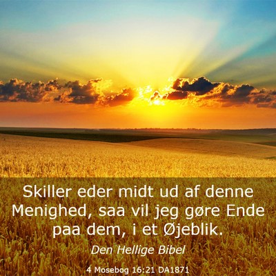 Picture 03 - 4 Mosebog 16:21 DA1871 - Skiller eder midt ud af denne Menighed, saa vil - Bible Verse Picture