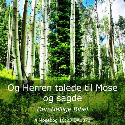 Picture 03 - 4 Mosebog 16:23 DA1871 - Og Herren talede til Mose og - Bible Verse Picture