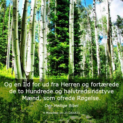 Picture 03 - 4 Mosebog 16:35 DA1871 - Og en Ild for ud fra Herren og fortærede de to - Bible Verse Picture