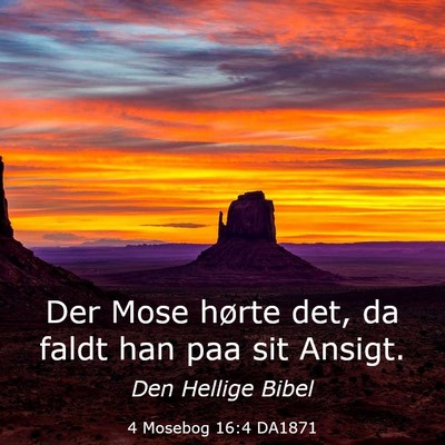 Picture 03 - 4 Mosebog 16:4 DA1871 - Der Mose hørte det, da faldt han paa sit - Bible Verse Picture