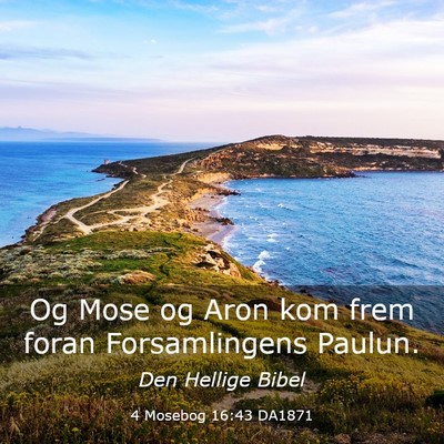 Picture 03 - 4 Mosebog 16:43 DA1871 - Og Mose og Aron kom frem foran Forsamlingens - Bible Verse Picture