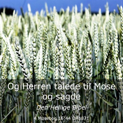 Picture 03 - 4 Mosebog 16:44 DA1871 - Og Herren talede til Mose og - Bible Verse Picture