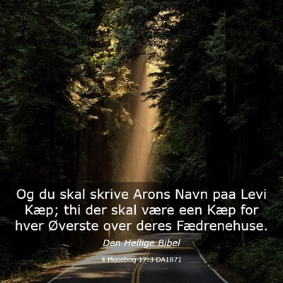Picture 03 - 4 Mosebog 17:3 DA1871 - Og du skal skrive Arons Navn paa Levi Kæp; thi - Bible Verse Picture