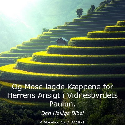 Picture 03 - 4 Mosebog 17:7 DA1871 - Og Mose lagde Kæppene for Herrens Ansigt i - Bible Verse Picture