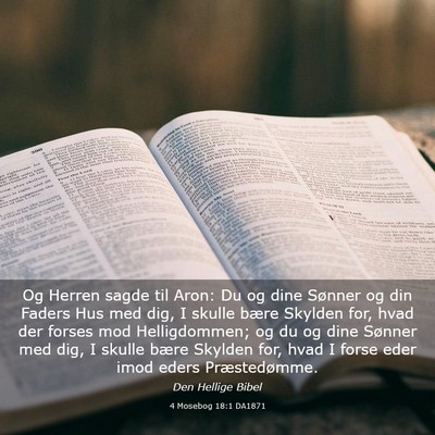 Picture 03 - 4 Mosebog 18:1 DA1871 - Og Herren sagde til Aron: Du og dine Sønner og - Bible Verse Picture